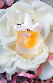 Celestial Radiance Elixir Face Oil Serum Jasmine Neroli